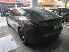 Tesla Model 3 Standard Range RWD Upgrade 3D6 - ფოტო 5