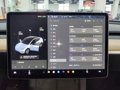 Tesla Model Y Standard Range RWD - ფოტო 12