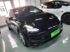 Tesla Model Y Standard Range RWD - ფოტო 4