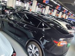 Tesla Model Y Standard Range RWD - ფოტო 5