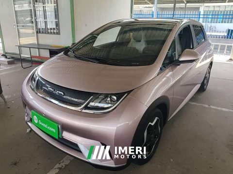 2022 BYD Dolphin 405km Fashion Edition - ავტომობილი ჩინეთიდან