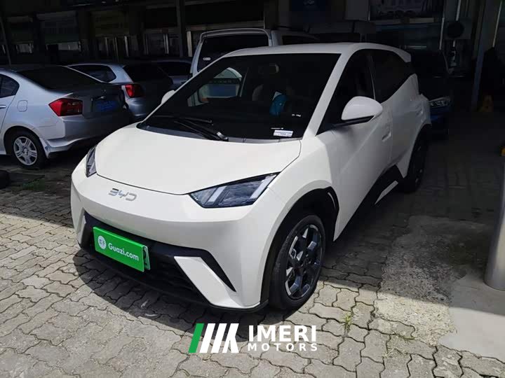 BYD Seagull 305km Freedom Edition - ავტომობილი ჩინეთიდან