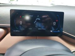 BYD Seagull 305km Freedom Edition - ფოტო 12
