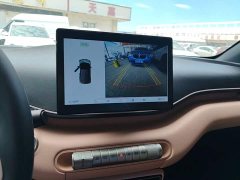 BYD Seagull 305km Freedom Edition - ფოტო 13