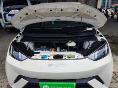 BYD Seagull 305km Freedom Edition - ფოტო 20