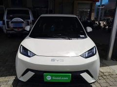 BYD Seagull 305km Freedom Edition - ფოტო 3