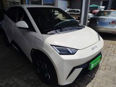 BYD Seagull 305km Freedom Edition - ფოტო 4
