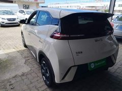 BYD Seagull 305km Freedom Edition - ფოტო 5