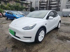 Tesla Model Y Rear-Wheel Drive - ფოტო 1