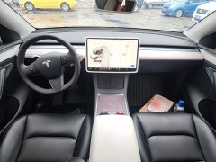 Tesla Model Y Rear-Wheel Drive - ფოტო 10