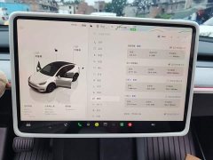 Tesla Model Y Rear-Wheel Drive - ფოტო 12