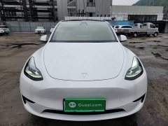 Tesla Model Y Rear-Wheel Drive - ფოტო 3