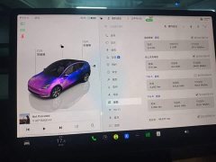 Tesla Model Y 2022 Facelift Rear-Wheel Drive - ფოტო 12