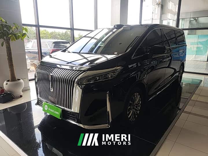 Great Wall WEY Shanshan New Energy Four-Wheel Drive Shanshan 9