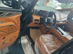 Great Wall WEY Shanshan New Energy Four-Wheel Drive Shanshan 9 - ფოტო 16
