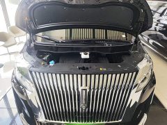 Great Wall WEY Shanshan New Energy Four-Wheel Drive Shanshan 9 - ფოტო 20