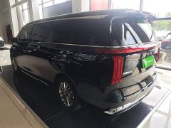 Great Wall WEY Shanshan New Energy Four-Wheel Drive Shanshan 9 - ფოტო 5