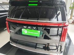Great Wall WEY Shanshan New Energy Four-Wheel Drive Shanshan 9 - ფოტო 6
