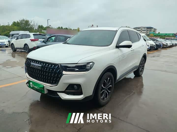 Haval H6 2023 National Trend Edition 1.5T Automatic Urban Version - ავტომობილი ჩინეთიდან