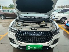 Haval H6 2023 National Trend Edition 1.5T Automatic Urban Version - ფოტო 20