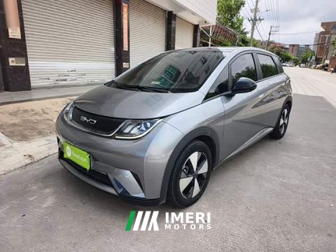 2023 BYD Dolphin 420km Fashion Edition - ავტომობილი ჩინეთიდან