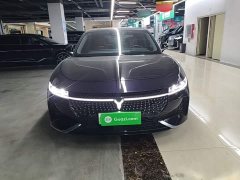 Voyah Lantu Zhaoguang PHEV AWD Ultra-Long Range Flagship - ფოტო 3