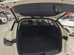 BYD Dolphin 06 DM-i Touring DM-i 150KM Flagship - ფოტო 19