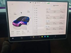 Tesla Model 3 Rear-Wheel Drive - ფოტო 8
