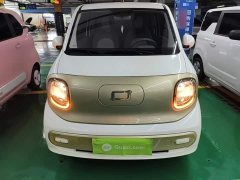 FAW Besturn Xiaoma 170km Vitality Edition - ფოტო 3
