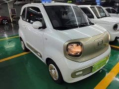 FAW Besturn Xiaoma 170km Vitality Edition - ფოტო 4