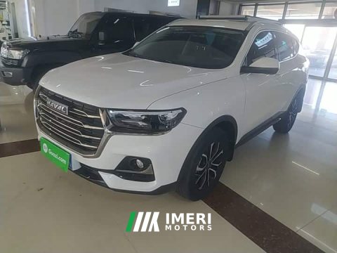 2021 Haval H6 National Trend Edition 1.5T Automatic Urban Version - ავტომობილი ჩინეთიდან