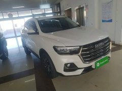 Haval H6 National Trend Edition 1.5T Automatic Urban Version - ფოტო 4
