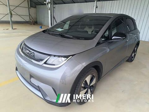 2023 BYD Dolphin 420km Freedom Edition