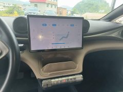 BYD Dolphin 420km Freedom Edition - ფოტო 13