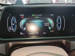 ORA Good Cat 401km Deluxe 135kW - ფოტო 12