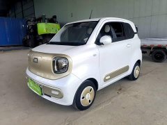 FAW Besturn Xiaoma 222km Agile Edition - ფოტო 2