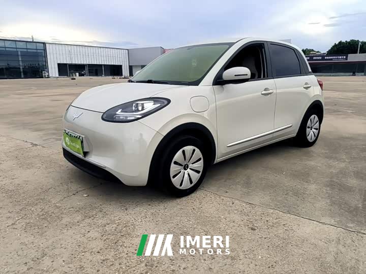 Wuling Binguo 203km Light Enjoy Edition