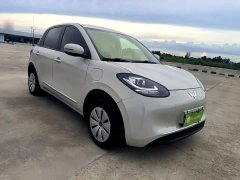 Wuling Binguo 2024 203km Light Enjoy Edition - ფოტო 4