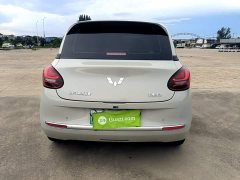 Wuling Binguo 2024 203km Light Enjoy Edition - ფოტო 6