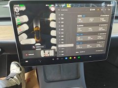 Tesla Model Y Rear-Wheel Drive - ფოტო 12