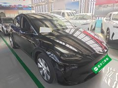 Tesla Model Y Rear-Wheel Drive - ფოტო 4
