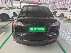 Tesla Model Y Rear-Wheel Drive - ფოტო 6
