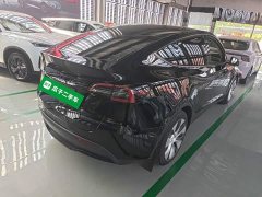 Tesla Model Y Rear-Wheel Drive - ფოტო 7