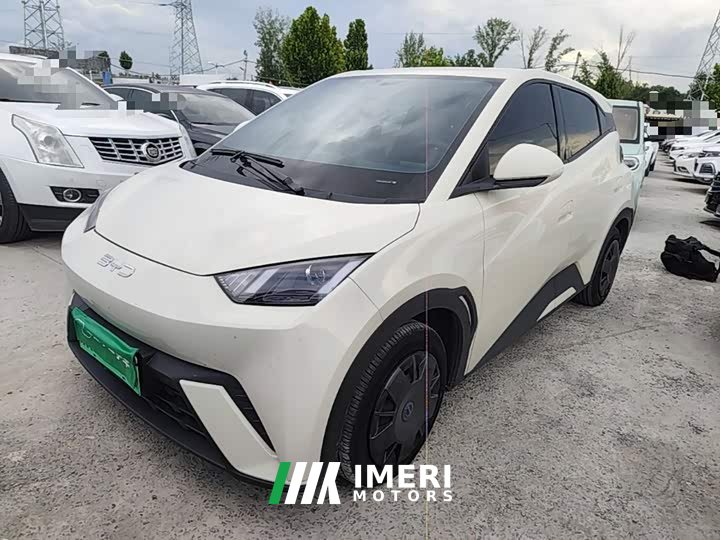 BYD Seagull 305km Vitality Edition - ავტომობილი ჩინეთიდან