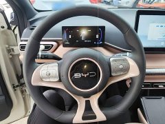 BYD Seagull 305km Vitality Edition - ფოტო 11