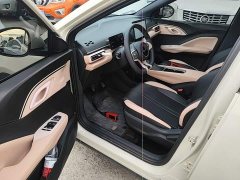 BYD Seagull 305km Vitality Edition - ფოტო 16