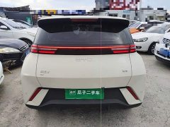 BYD Seagull 305km Vitality Edition - ფოტო 6