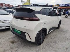 BYD Seagull 305km Vitality Edition - ფოტო 7