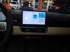 Wuling Binguo PLUS 2024 510km 5-Seater - ფოტო 13