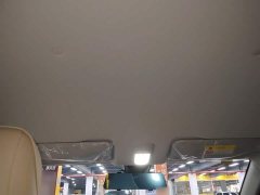 Wuling Binguo PLUS 2024 510km 5-Seater - ფოტო 18
